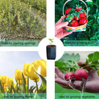 gardtree Plant Nursery Bags 6.3” x 7” 200PCS, Non-Woven Biodegradable Plant Grow Bags Fabric Seedling Starter for Vegetable Flower Fruit Saplings Tree, Home Garden Supply