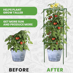 Square Tomato Cage - Large Trellis Stakes and Plant Support Structures for Vegetables and Climbing Plants - Tall Tomato Cages for Garden, Pots, Raised Garden Bed Outdoor Supplies (3 Pack - Up to 41")