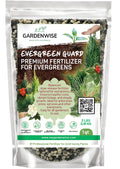 Evergreen Fertilizer – All-Purpose Granular Plant Food for Outdoor Trees and Shrubs, Azaleas, Magnolias, Pines & Arborvitae – Slow-Release Formula (3 quarts)