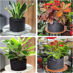 7-Gallon 10 Pack Grow Bags,Thickened Aeration Fabric Growing Pots Planters with Handles for Planting Vegetables Plants,Black