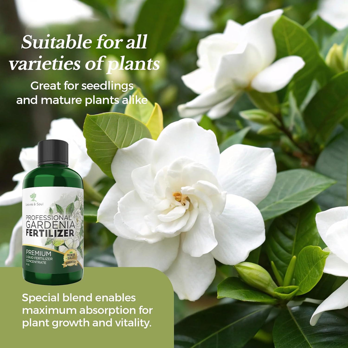 Professional Liquid Gardenia Plant Fertilizer | 3-1-2 Concentrate for Flowering Plants | Multi-Purpose Blend & Gardening Supplies | 8 oz Bottle