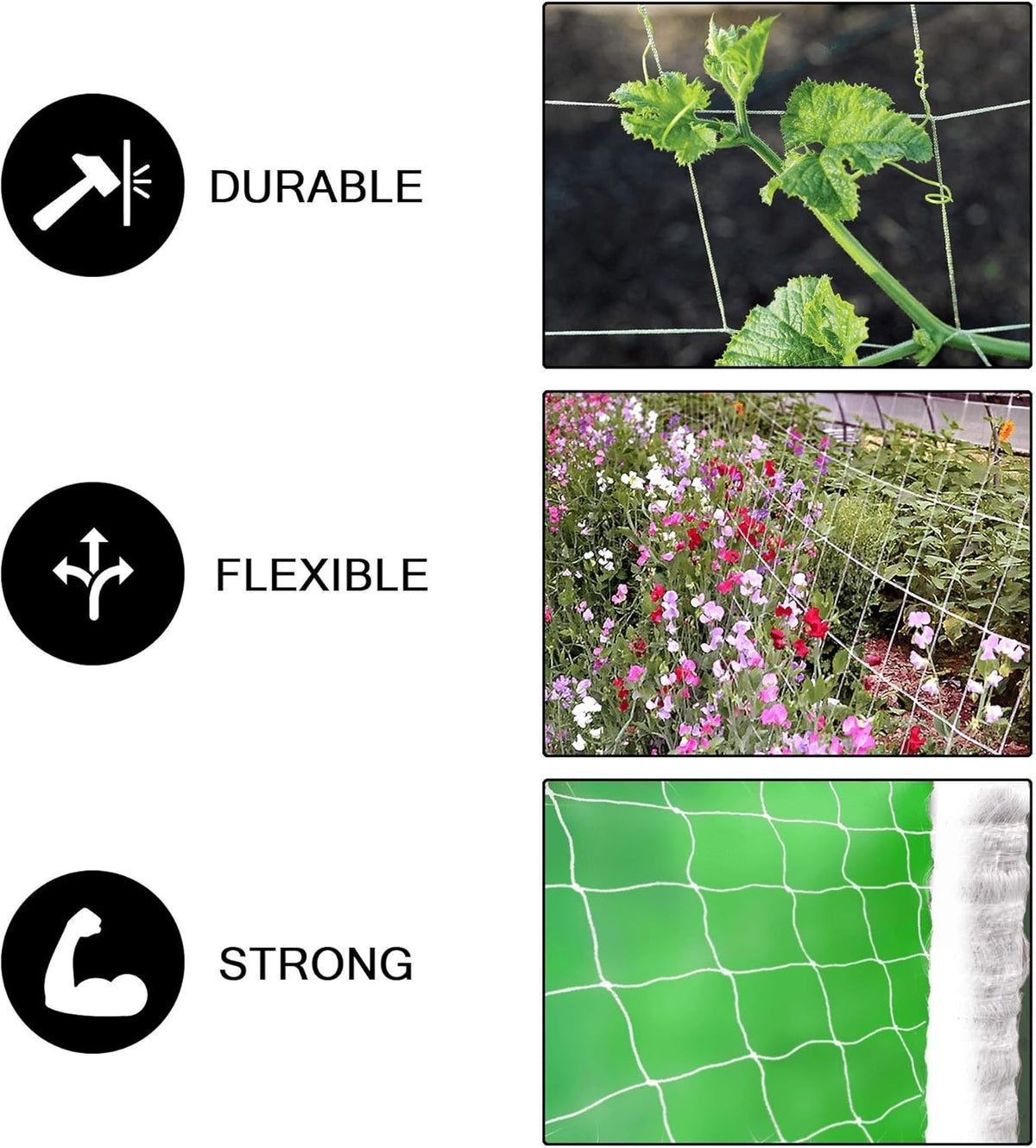 COMMON CULTURE Grow Strong Soft Mesh Nylon Trellis Netting Bulk Roll, 3.5 Inch Squares (9 cm), 5 ft x 225 ft (152 cm x 68 m) Long Heavy-Duty Garden Netting for Plants with Trimming Scissors