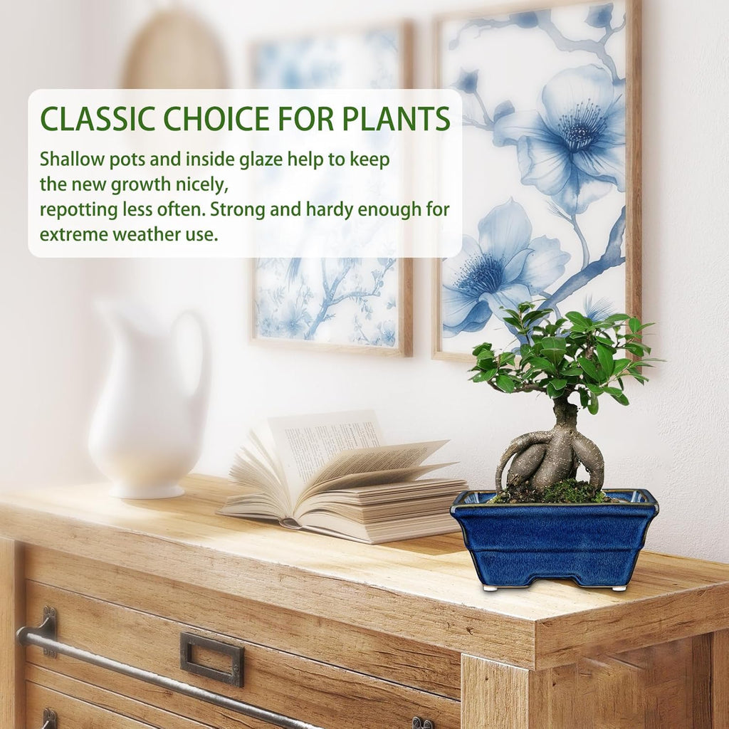 Bonsai Pots Shallow Succulent Planters for Live Bonsai Trees Set of 2, 6.3" Ceramic Pot for Succulents Indoor with Drainage Hole, Outdoor Cactus Plant Bonsai Pot，Ceramic Flower Pot