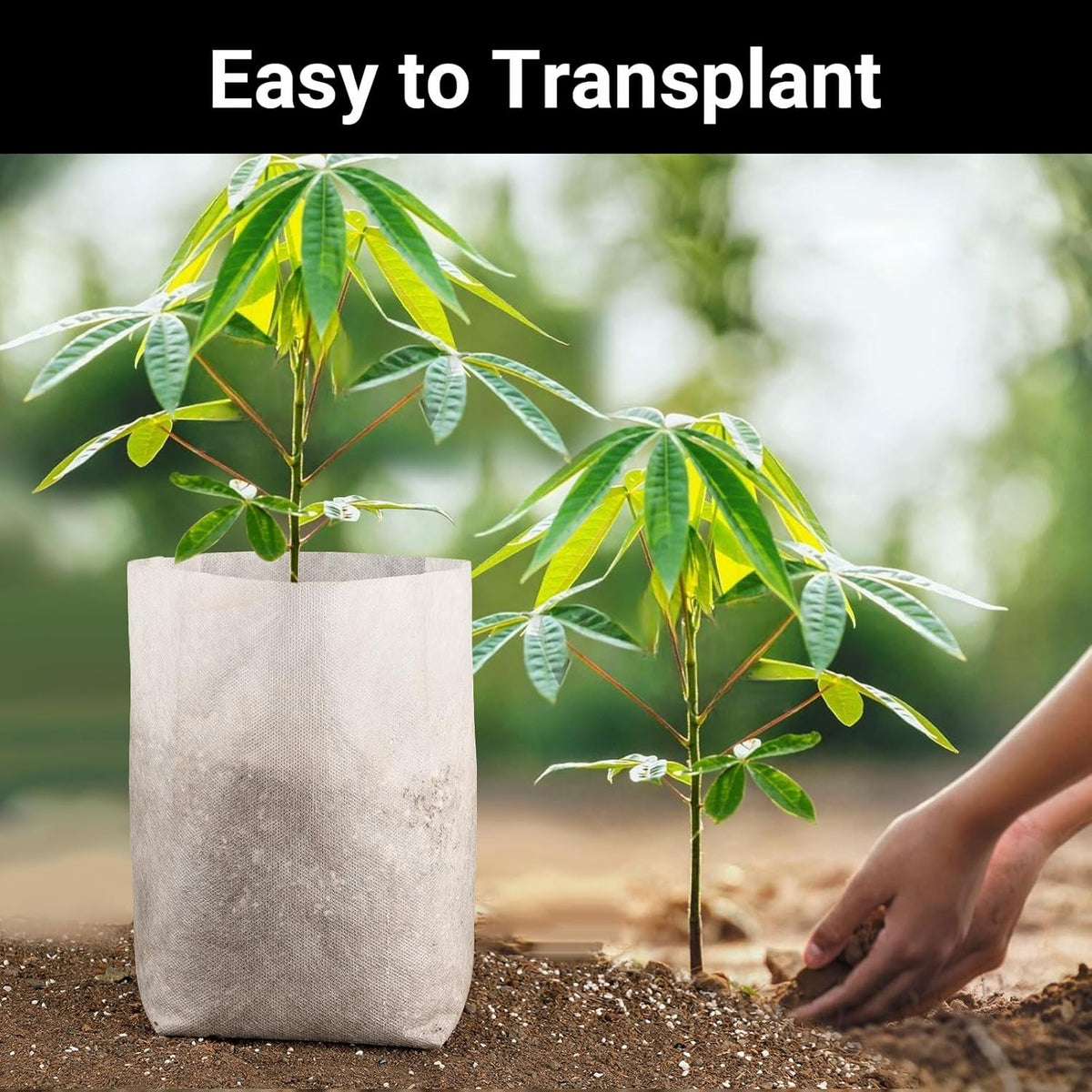 Nursing Growing Pouch, 100pcs 11 x 11.8 in Plant Non-Woven Nursery Bags Large, Fabric Seedling Plant Grow Bags, Seed Starting Planting Growing for Home Garden Supply