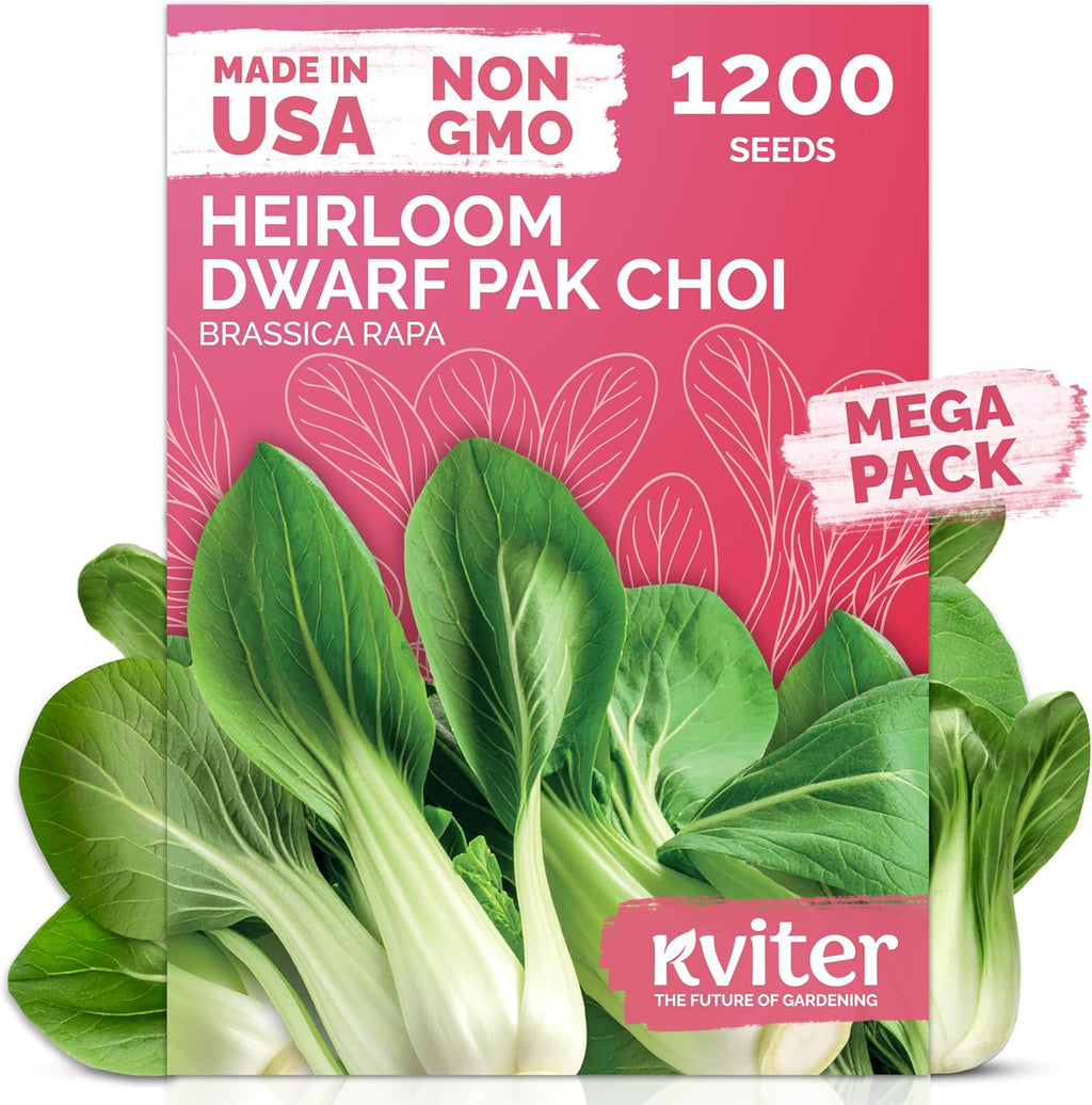 KVITER 1,200 Baby Bok Choy Seeds for Planting (Brassica rapa subsp. chinensis) – Heirloom Extra Dwarf Pak Choi, White Stem Chinese Variety – Organic Cabbage Seeds to Plant in Vegetable Garden