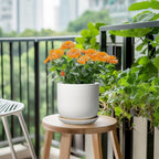 Ceramic Pot for Plants 7 Inch - Modern Round Indoor Outdoor Planter with Drainage Hole and Saucer, Home House Office Room Decor, White