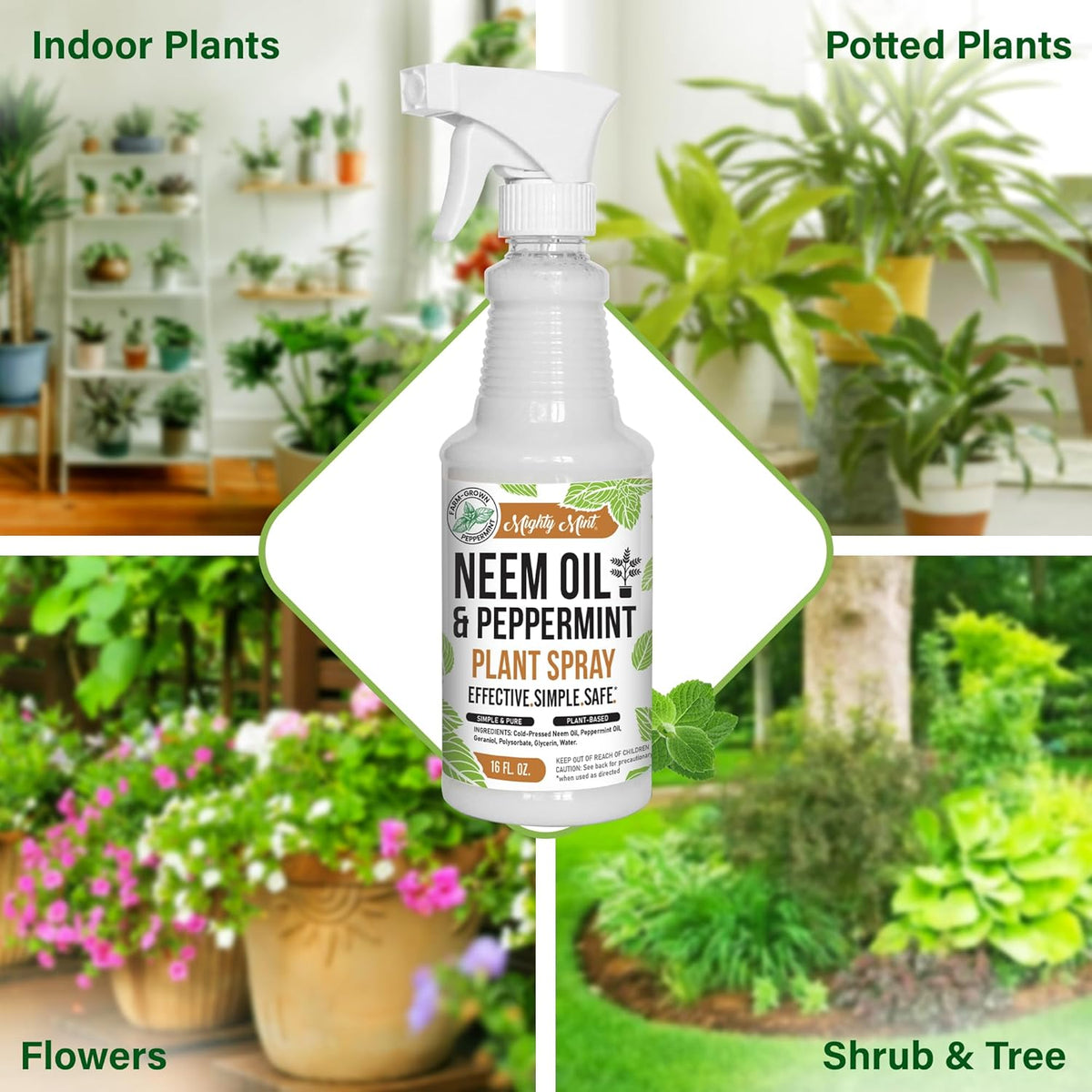 Mighty Mint Neem Oil & Peppermint Plant Nutrient Spray – Natural Leaf Shine for Indoor & Outdoor Use – Plant-Based Formula for Stronger, Healthy Plants - 16 oz