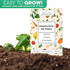 Woods Creek Seeds: Jalapeño Early Hot Pepper Seeds for Planting - Heirloom Non-GMO Jalapeno Seeds for Planting - Beginner Friendly Jalapeno Pepper Seed Pack for Indoor, Outdoor & Home Garden