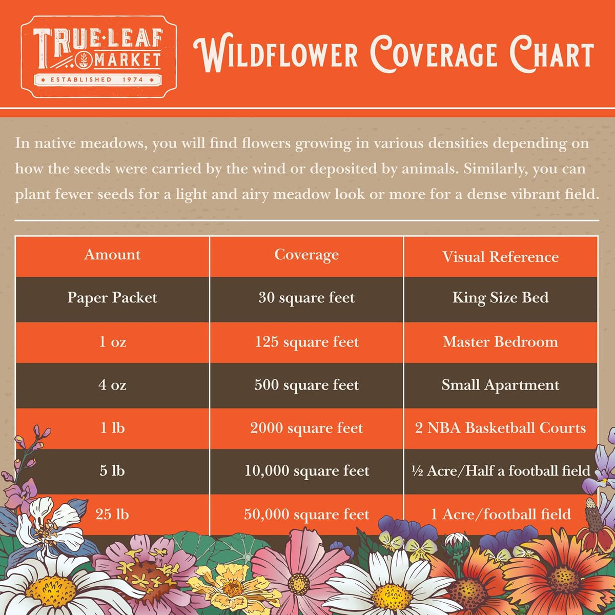Rocky Mountain Wildflower Seeds Mix - 1 Lb Seed Pouch - 22 Wild Flower Seed Varieties - Annuals, Perennials and Bi-Annuals - Flower Garden