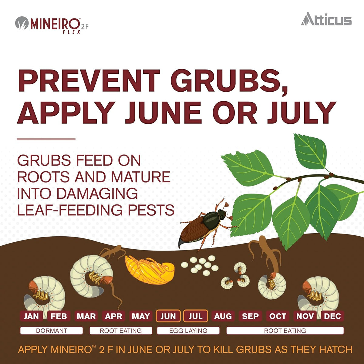 Atticus Mineiro 2F Flex Imidacloprid Systemic Insecticide (1 Gal) – Grub and Insect Control in Lawns and Landscapes