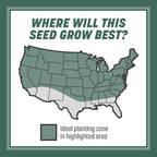 Pennington Kentucky 31 Tall Fescue Penkoted Grass Seed 3 lb