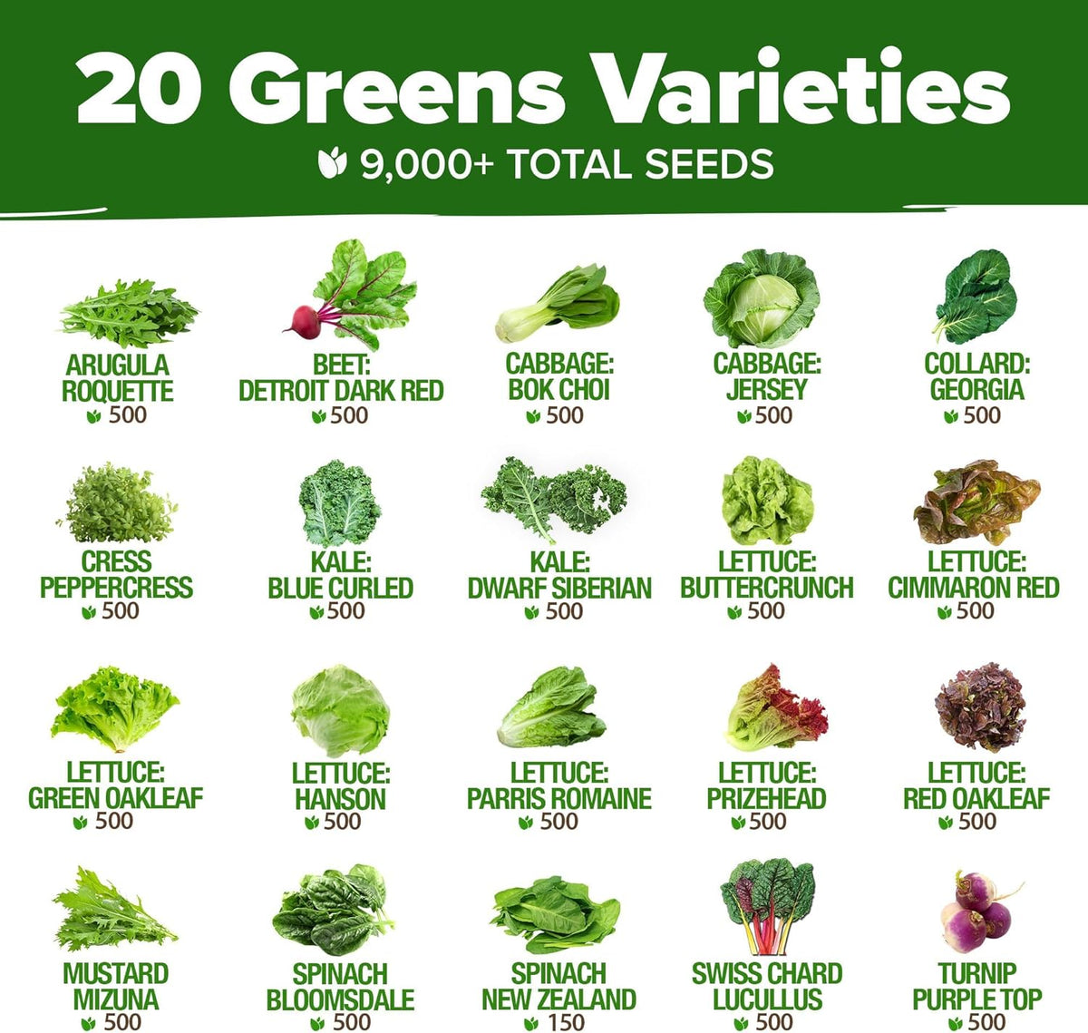 HOME GROWN 21,600+ Lettuce Seeds for Planting - 20 Heirloom Varieties, Non-GMO USA - Romaine, Butterhead, Iceberg, Leaf Lettuce, Spinach & Kale - Indoor, Outdoor & Hydroponic Garden Kit