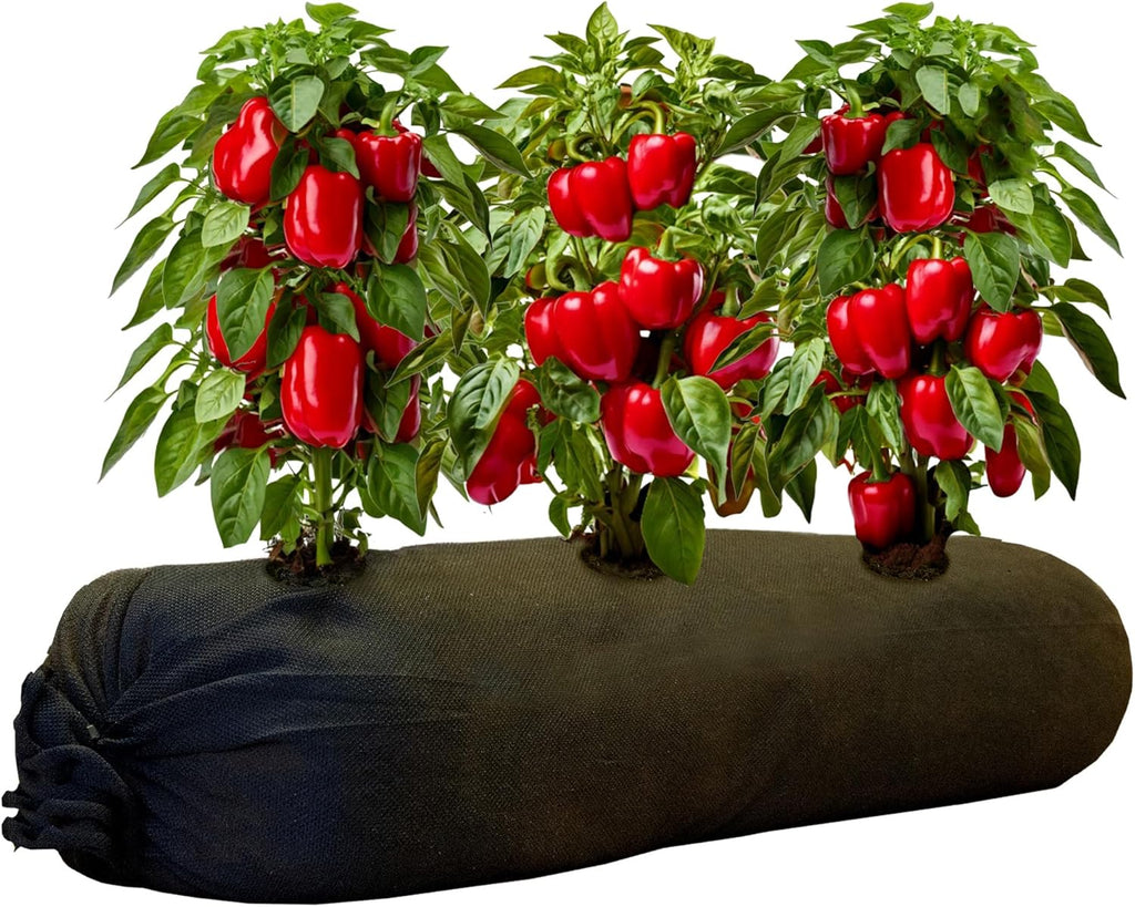 4x8 50ft Tubular Fabric Plant Pots with Full Drip Irrigation System - Heavy Duty Mesh for Optimal Airflow, Customizable up to 32 sqft Garden for Fruit, Vegetables and Flowers