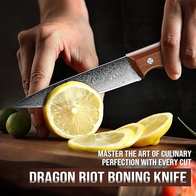 DRAGON RIOT Damascus Paring Knife 5 inch, VG-10 Damascus Steel Fruit Knife, Japanese Peeling Knife with Ergonomic Wood Handle, Multipurpose Kitchen Knife for Cutting Fruit Vegetables