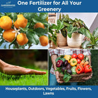 20-20-20 Water-Soluble Fertilizer – Powder for Liquid Plant Food for Indoor & Outdoor Plants, Orchids, Vegetables, Lawns, Flowers – 20 20 20 Fertilizer (8 oz)