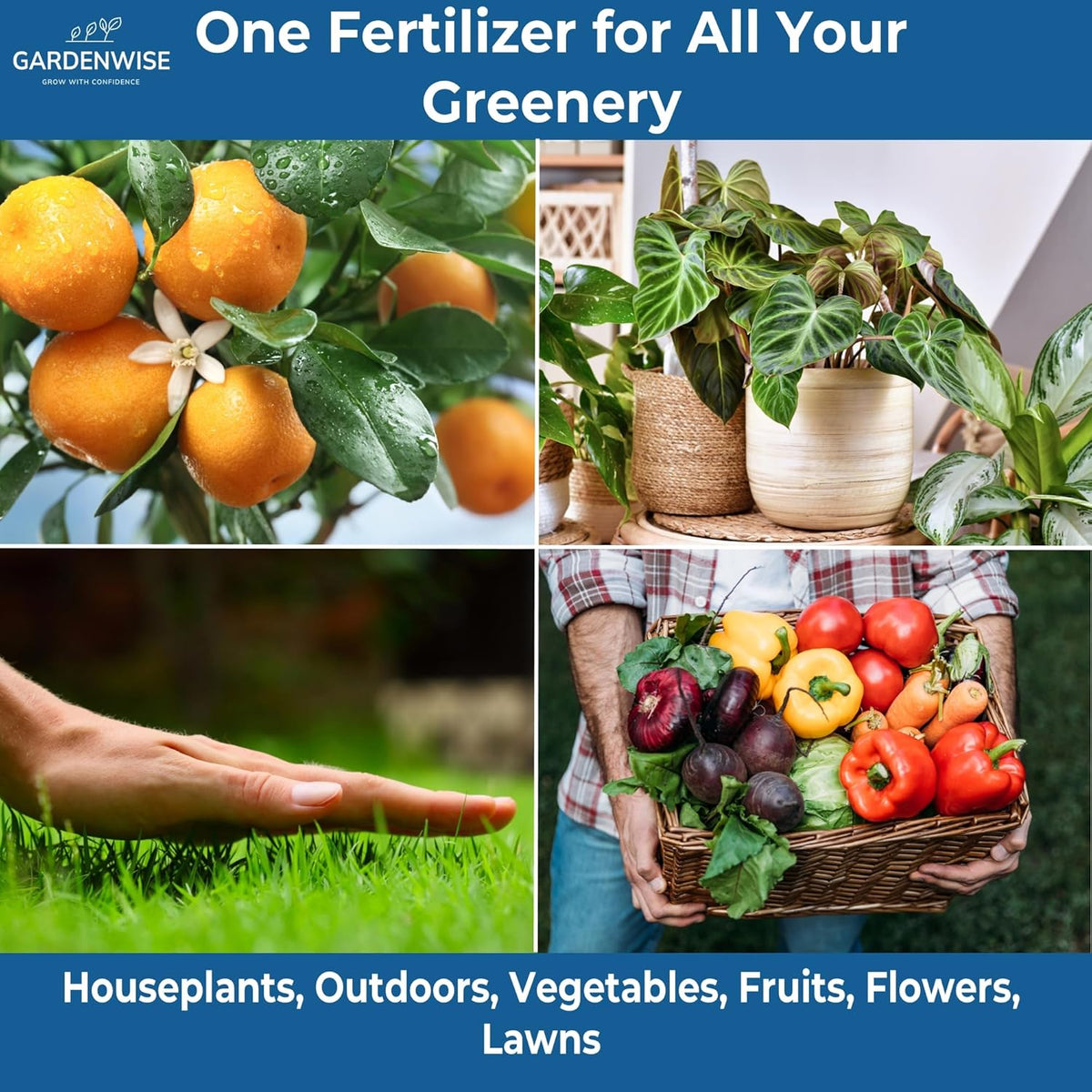20-20-20 Water-Soluble Fertilizer – Powder for Liquid Plant Food for Indoor & Outdoor Plants, Orchids, Vegetables, Lawns, Flowers – 20 20 20 Fertilizer 4 Quarts (8 lbs)