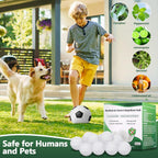 Mouse and Mice Repellent Indoor Outdoor, 10 Packs Moth Balls, Peppermint Balls for Rodent, Long-Lasting Squirrel Repellent, Safe for Human & Pets, Suitable for Home Storage Garage Car RV
