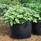 DOITOOL 5 Pack 5 Gallon Plant Grow Bags, Nonwoven Plant Fabric Pots with Handles, Vegetable/Flower/Plant Grow Bags for Nursery Garden Planting
