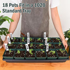 June Fox 100 Pack Green Square Nursery Pots with Drainage Holes 3.3 Inches Flexible Plastic Seedling Pots Square Pots for Plants, Succulent, Flower, with Plant Labels