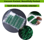 300 Pcs Plant Support Clips,Plastic Clips for Securing Plants,Tomato Vine Clips,Plant Fixing Clips,Garden Clips for Climbing Plants,Grape and Vine Vegetables (300, Green)