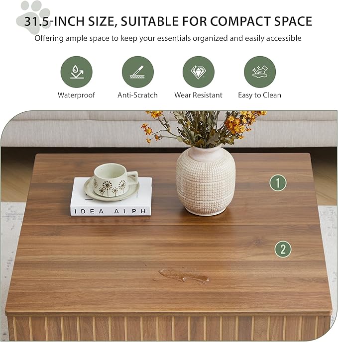 31.5" Square Coffee Table with Storage, Mid-Century Modern Center Table with Arched Cutouts and Carved Lines, 2-Tier Tea Table for Living Room, Cat-Friendly Base (Walnut)