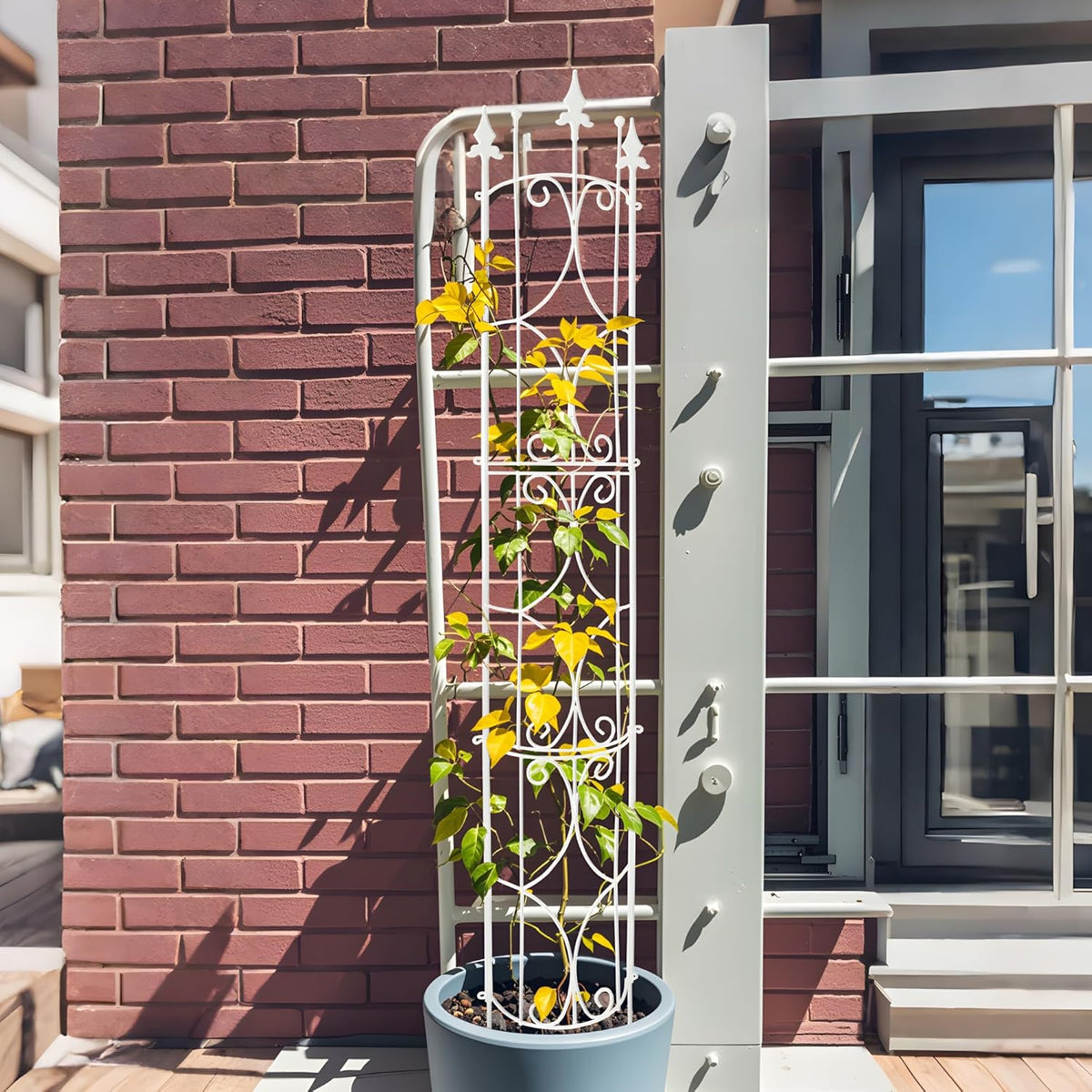 Garden Trellis 2 Pack 72'' H x 12'' W Metal Plant Trellis Indoor/Outdoor Metal Garden Trellis Plant Trellis for Potted Plants Climbing Houseplants Flowers