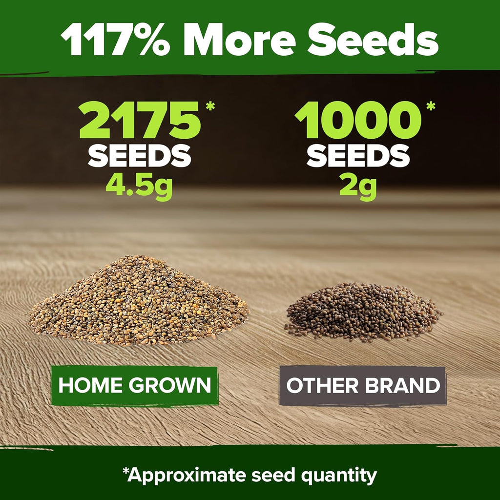 HOME GROWN 𝗨𝗦𝗔 𝗣𝗥𝗘𝗠𝗜𝗨𝗠 Arugula Roquette Seeds Pack 2,175 𝗡𝗢𝗡-𝗚𝗠𝗢 Heirloom Arugula Seeds for Planting Best for Outdoor Gardens,Providing Fast-Growing Greens for Salads - Eruca vesicaria