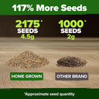 HOME GROWN 𝗨𝗦𝗔 𝗣𝗥𝗘𝗠𝗜𝗨𝗠 Arugula Roquette Seeds Pack 2,175 𝗡𝗢𝗡-𝗚𝗠𝗢 Heirloom Arugula Seeds for Planting Best for Outdoor Gardens,Providing Fast-Growing Greens for Salads - Eruca vesicaria