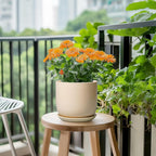 Ceramic Plant Pot - 7 Inch Mid Century Round Ceramic Planter for Indoor Plants with Drainage Hole and Saucer, Modern Home Decor, Yellow