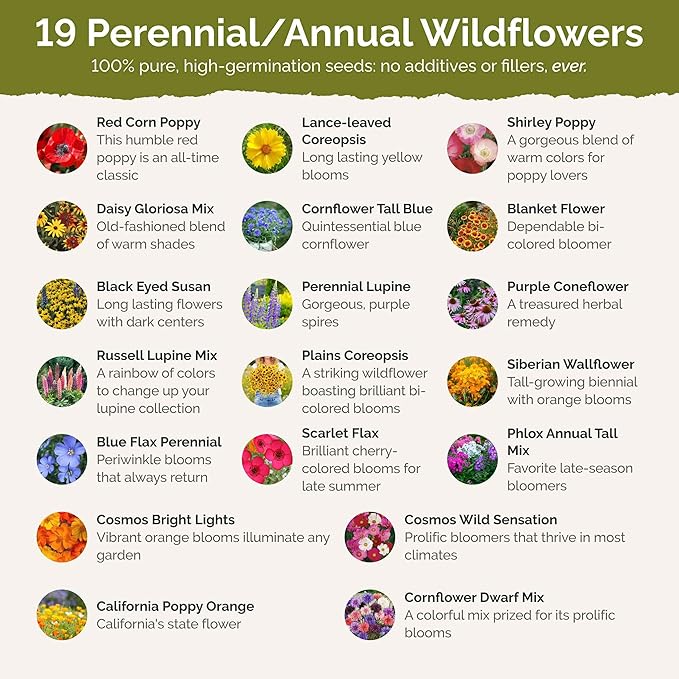 Eden Brothers New Jersey Wildflower Mixed Seeds for Planting, 1/4 lb, 120,000+ Seeds with Cornflower, Coneflower | Attracts Pollinators, Plant in Spring or Fall, Zones