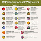 Eden Brothers New York Wildflower Mixed Seeds for Planting, 1 oz, 30,000+ Seeds with Coneflower, Cosmos | Attracts Pollinators, Plant in Spring or Fall, Zones