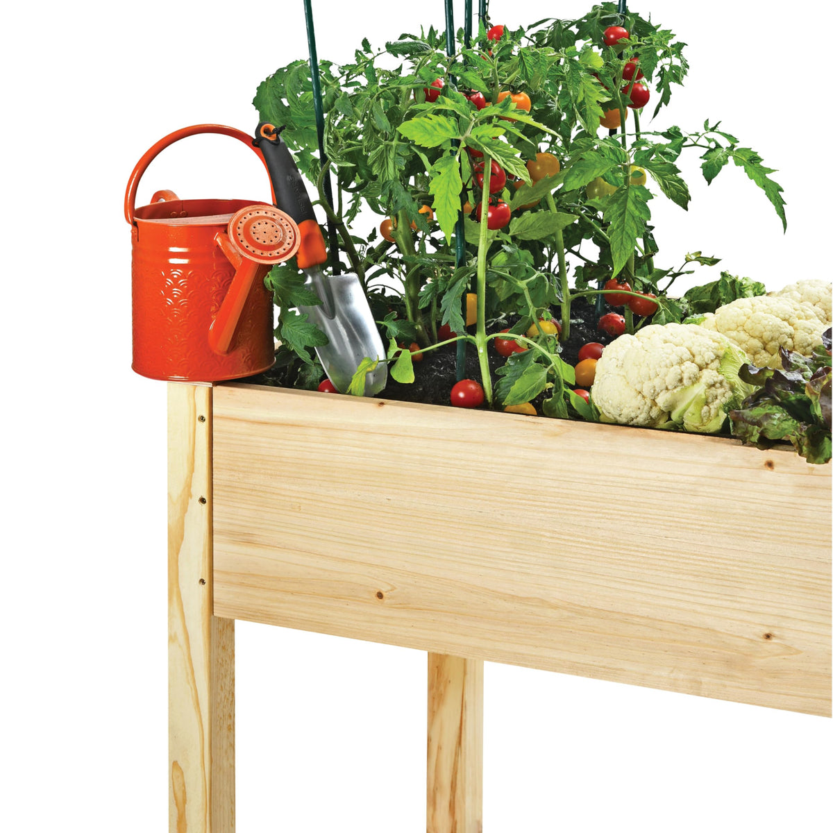 Cedar Raised Garden Bed with Legs, Outdoor Planter Box 48x24x30, 200lb