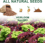 Lettuce Seed Pod Kit, Romaine, Butter Head, Red Sail, Red&Green Leaf, Red Sail Lettuce, Grow Anything Seed Pod Kit Compatible with All Indoor Hydroponics (8-Pod)