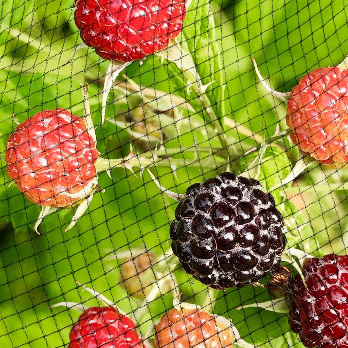Garden Netting, 15ft x 30ft Black Bird Netting Heavy Duty,Rabbit,Large Bees,Squirrels, Deer,Chicken, Anti Birds, Cardinals，Animal Fencing for Fruit Tree & Vegetable Garden