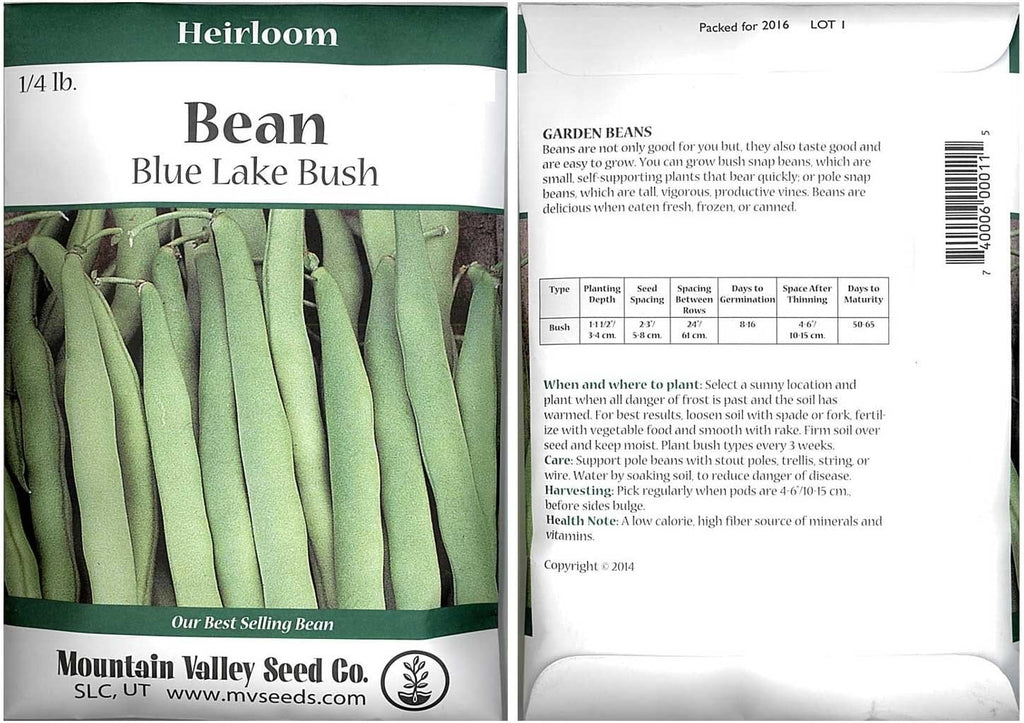 Blue Lake Bush Bean 274 Seeds - 4 Oz - Non-GMO, Heirloom, Open Pollinated - Vegetable Garden Seeds - Green String Beans