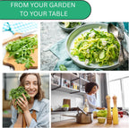 Woods Creek Seeds: Arugula Astro Seeds for Planting - Over 1,300 Heirloom, Non-GMO Arugula Seeds for Planting - Fast-Growing Astro Seed Pack for Gardening Indoors or Outdoors - Ideal for Green Salad