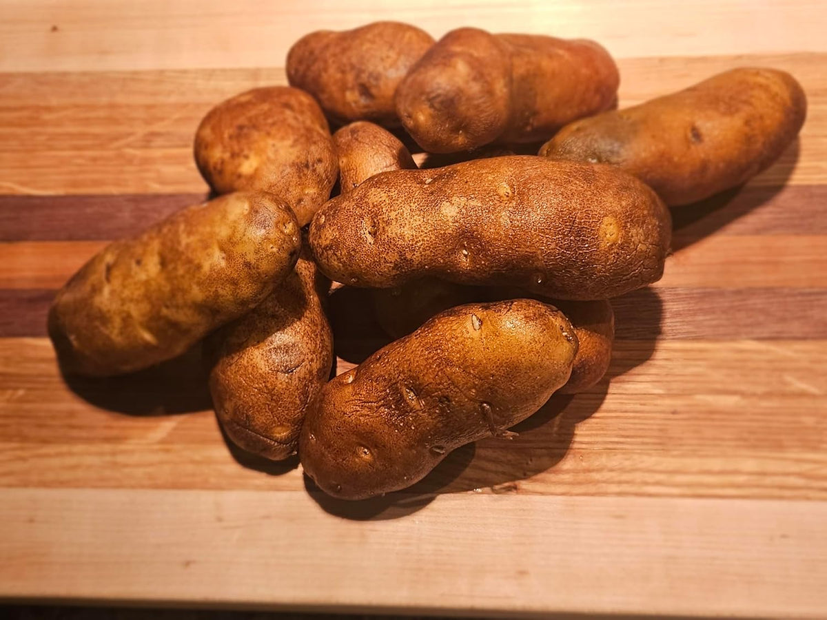 Idaho Russet Certified Potato Seed Real Whole Potatoes American Grown Non GMO Ready to Grow 3LBS