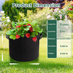5 Pack 3 Gallon Fabric Grow Bags, Heavy Duty 300G Thickened Aeration Nonwoven Fabric Garden Pots with Handles, Planting Bag for Tomato, Potato, Strawberry, Vegetable, Fruits and Flowers