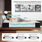 Queen Mattress, 10-in Deluxe Hybrid Mattresses, Memory Foam Mattress in a Box, Individual Pocket Spring-Motion Isolation-Medium Firm-Extra Edge Support, CertiPUR-US, 365 Nights Trial