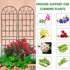 4 Pack Metal Garden Trellis 86.7" Tall Outdoor Climbing Plant Support for Roses, Flowers, Rustproof Durable Black Galvanized Tube, Lawn Garden Fence Decor Screen (4, Black curves-86.7" H)