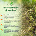 Outsidepride Western Native Grass Seed Mix - 5 lbs. Perennial Blend of Warm & Cool Season, Drought Tolerant Grass Seed for Natural Landscaping w/Wildflower, Soil Health Improvement & Erosion Control