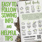 Seed Needs Wildflower Seeds Hummingbird and Butterfly Seed Mix | 2 Packs (1 Ounce Each) No Filler 23 Varieties Garden Seeds Annual & Perennial Species | Pollinator Attracting Flower Seed | Bulk