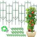 6 Pack Tomato Cage for Garden & Pots, Rust-Resistant Metal Plant Support