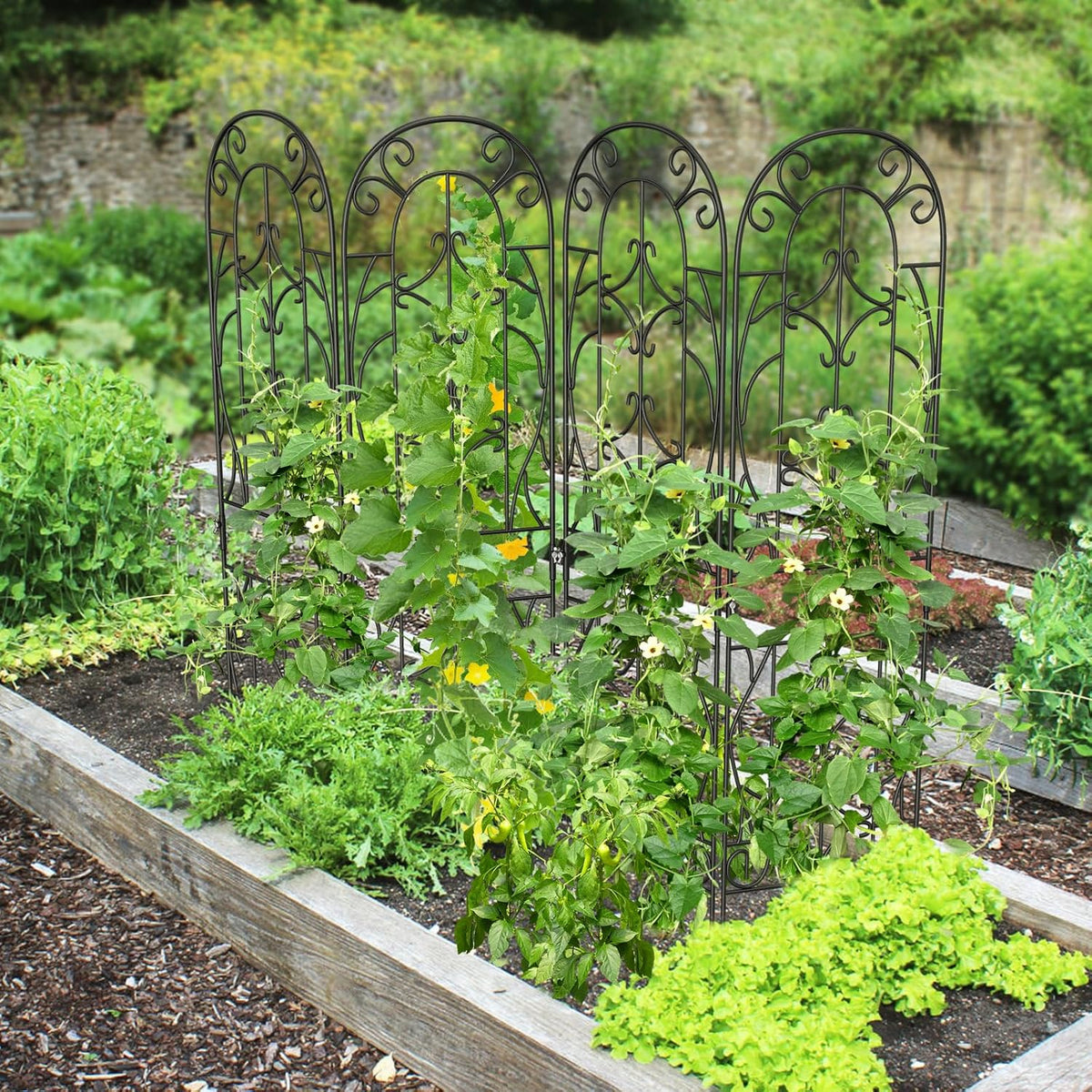 4 Pack Metal Garden Trellis for Climbing Plants, Black Metal Garden Trellis for Vines Plant Rose Vegetable Support,Large Decorative Outdoor Trellis