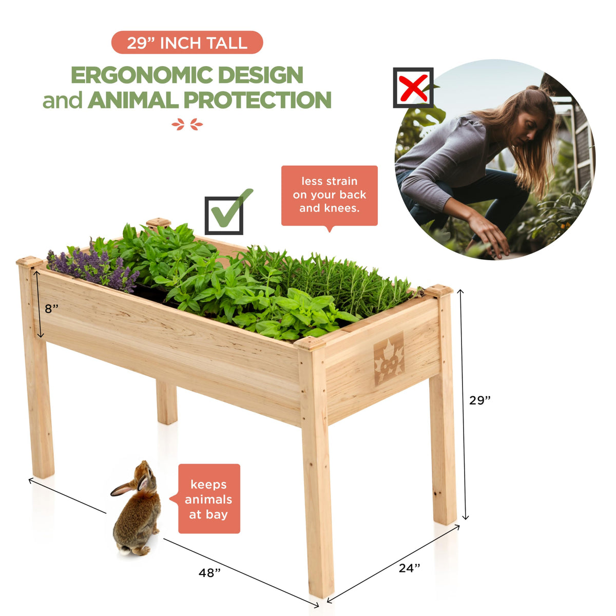 Cedar Raised Garden Bed with Legs, Outdoor Planter Box 48x24x30, 200lb