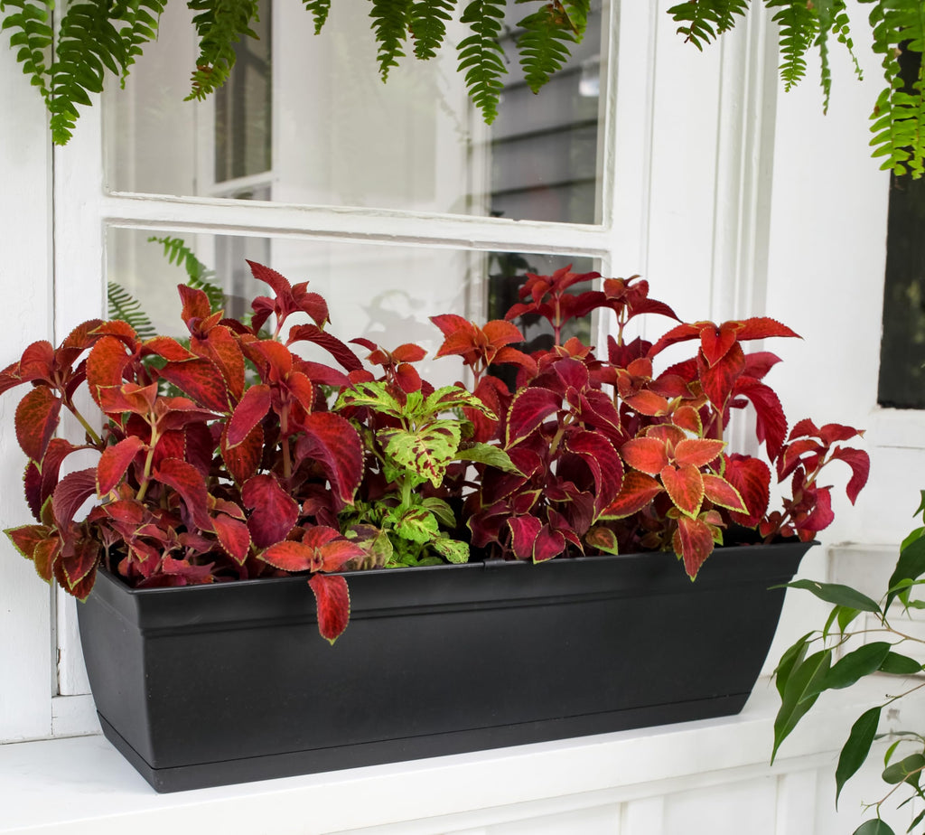 The HC Companies Eclipse Window Planter Box, 24 Inch, Black, 2-Pack
