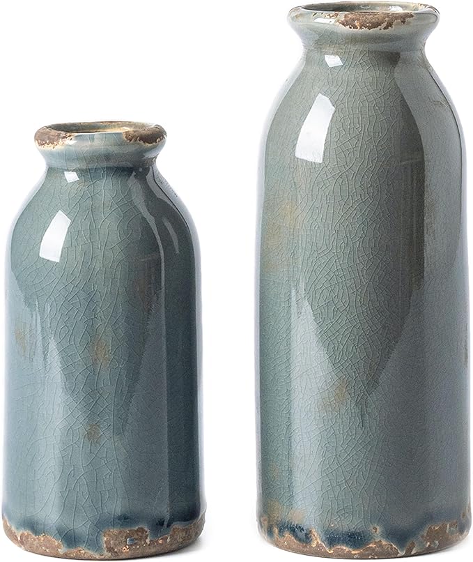 VICTOR & TERESA Blue and Grey Ceramic Vase Home Decor, Farmhouse Vases for Flowers, Flower Vase Set of 2, Rustic Decorative Vases for Pampas Grass, Table, Living Room, Shelf, Centerpieces, 8 inch