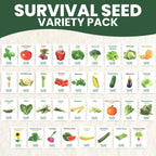 35 Vegetable Seed Packets | Survival Variety Pack | 2025 Season | Individually Packed Vegetables, Herbs and Fruits | Emergency Seed Vault for Doomsday Prepping | by Family Sown