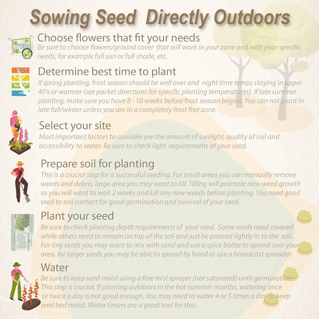 Outsidepride Low Growing Wildflower Seeds - 5 lbs Dwarf, & Short, Diverse Perennial & Annual Wild Flower Seed Mix with Long Bloom Season for Colorful Display That Thrives on All States