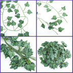 36 Pack 252 Feet Vines,Ivy,Ivy Garland,Fake Ivy,Fake Leaves,Ivy Vines,Artificial Vines,Green Vines,Leaves Room Decor,Vines for Bedroom,Wall Decor,Wedding Party